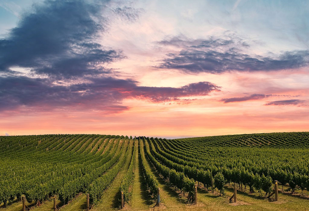 Les plus belles routes des vins françaises